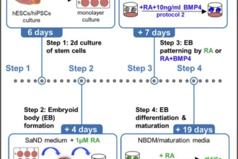 1-s2.0-S26661667210002