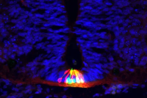 Figures-huddling-on-a-starry-night