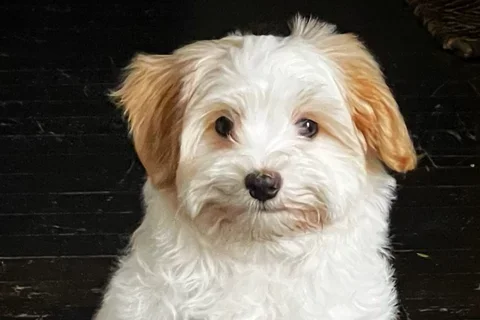 Matilda
