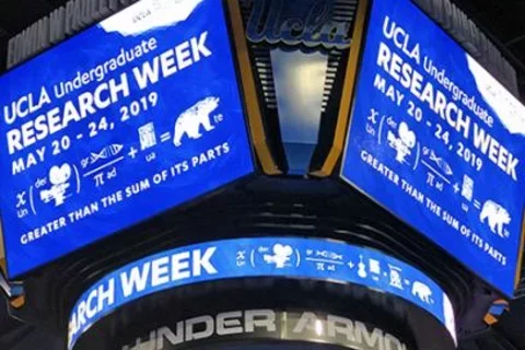 Research-week