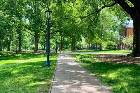 UNC-green-space