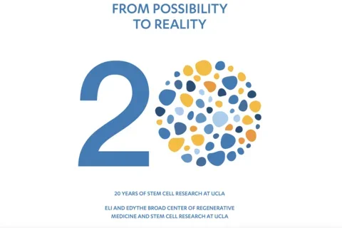 20 years logo