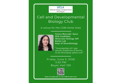 flier for a talk with a green background