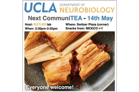 flier for a community event