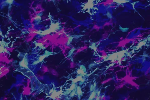 Purple confetti pattern