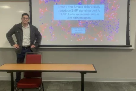 Cris giving presentation