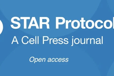 logo for Star Protocols.