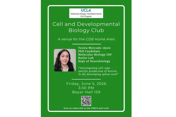 flier for a talk with a green background