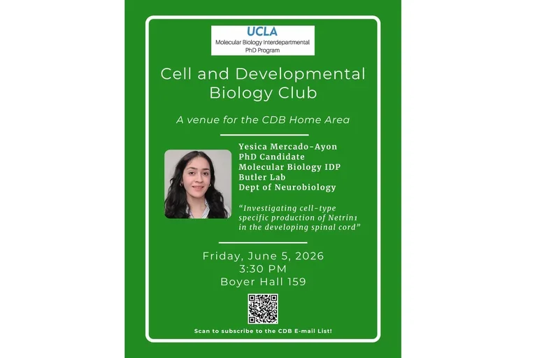 flier for a talk with a green background