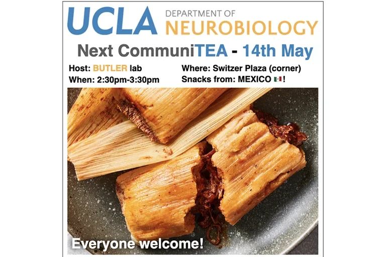 flier for a community event