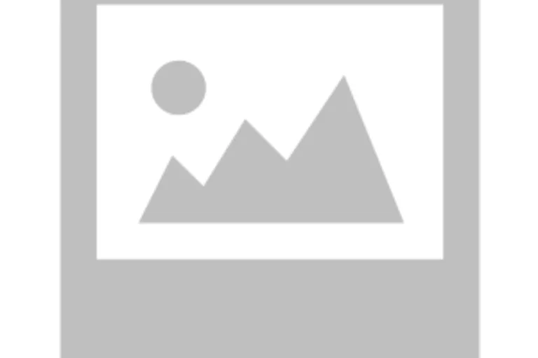 no-image-icon