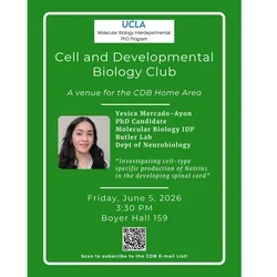flier for a talk with a green background
