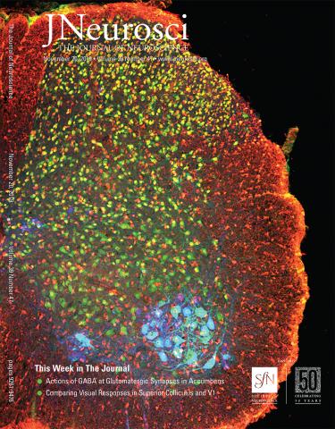 J Neuroscience cover article