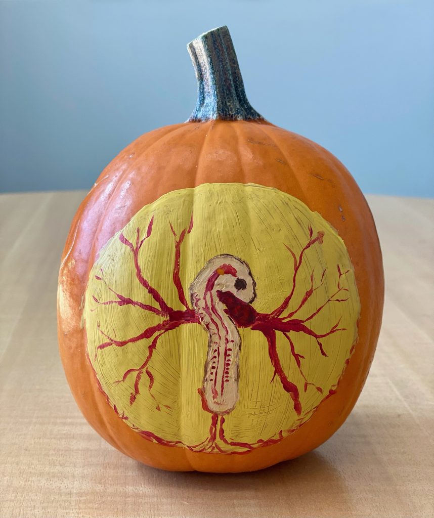 Hallowe'en pumpkin painted with a chicken embryo